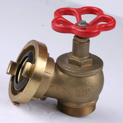 Riser Landing Valve